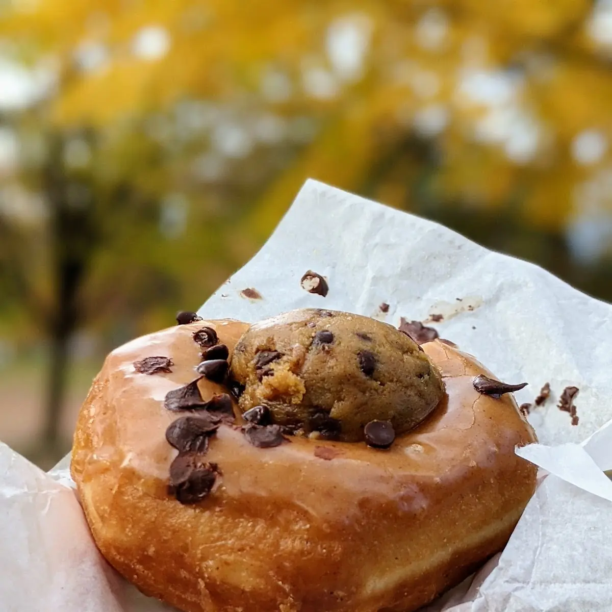 Pumpkin Cookie Dough Donut