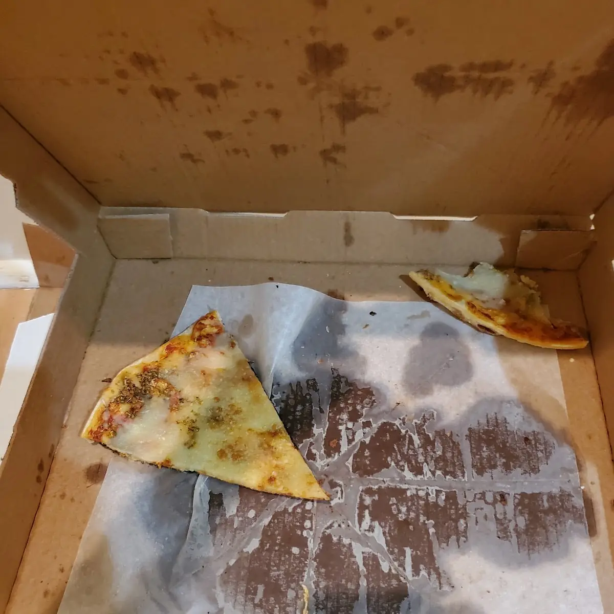 Cheese Pizza Slice