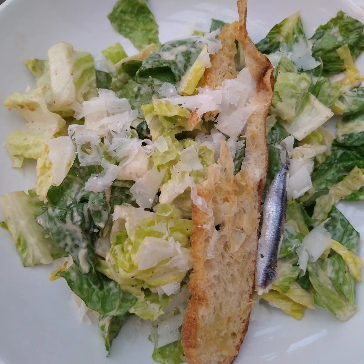 Ceasar Salad