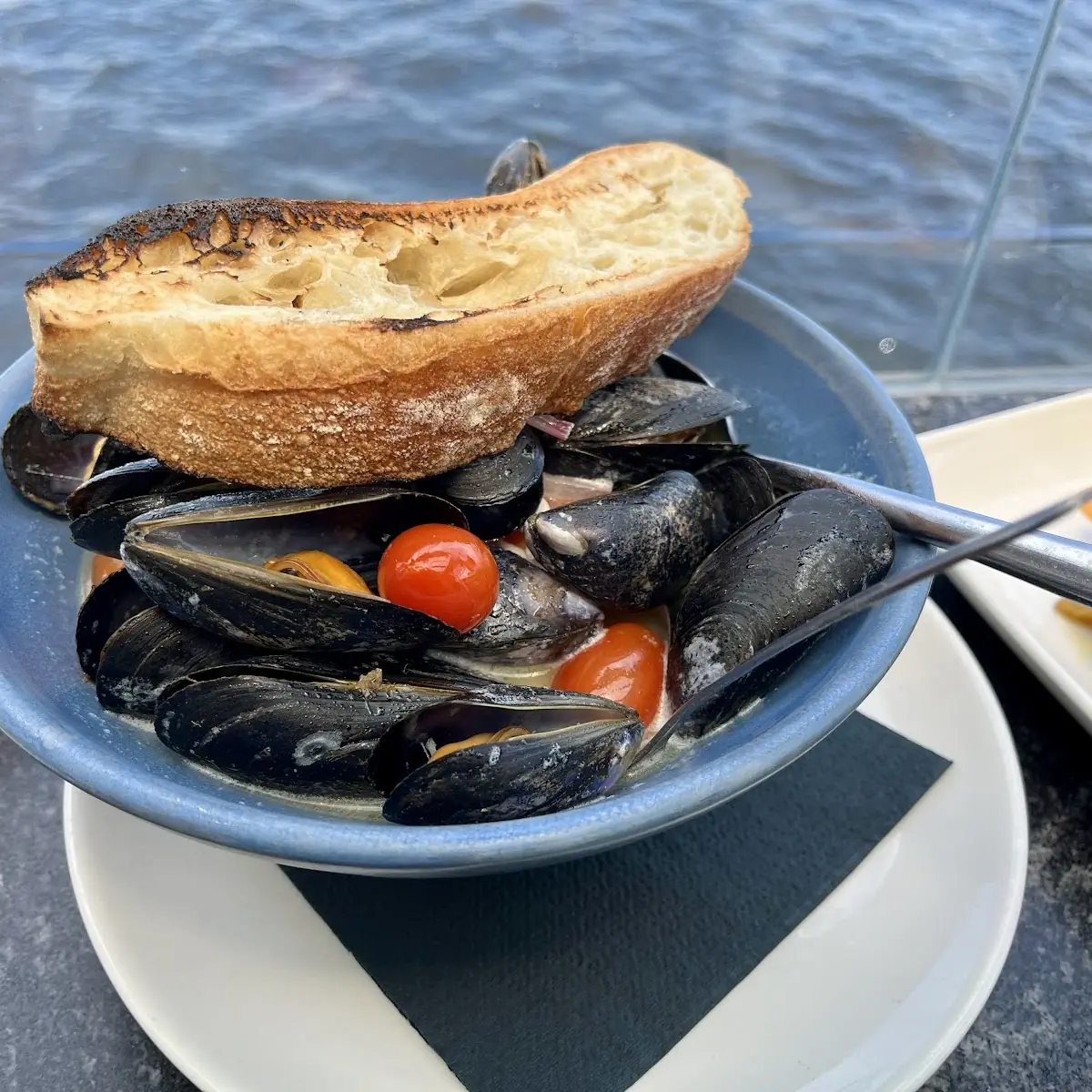 North Atlantic Mussels