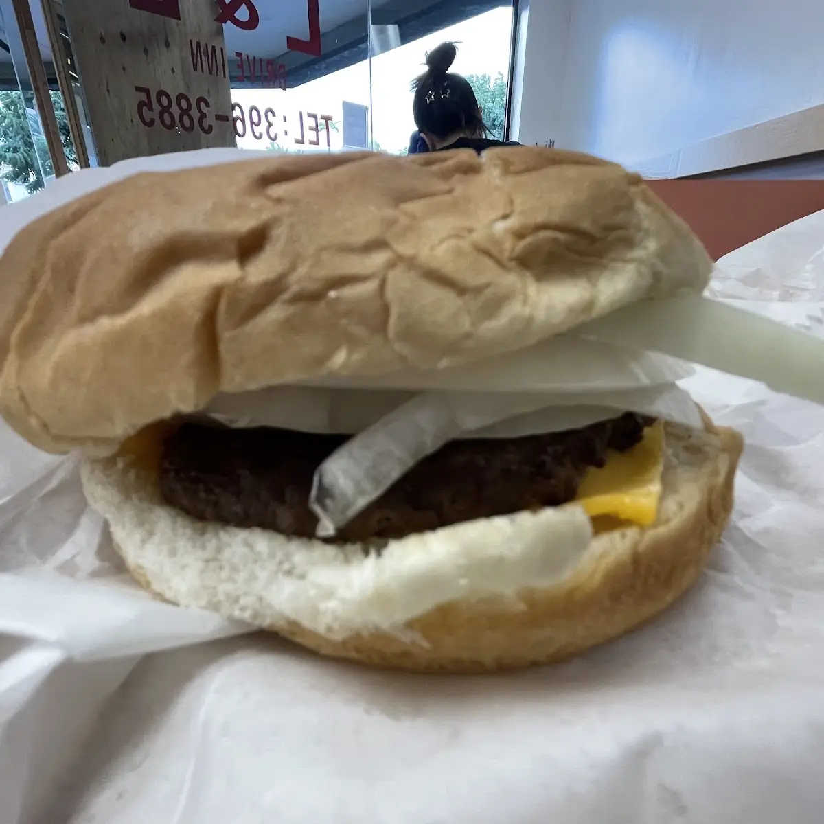 Cheese Burger with Onions