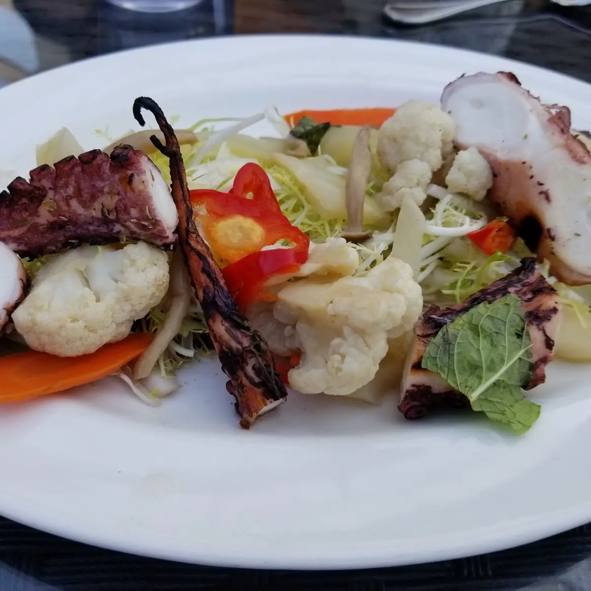 Grilled Octopus