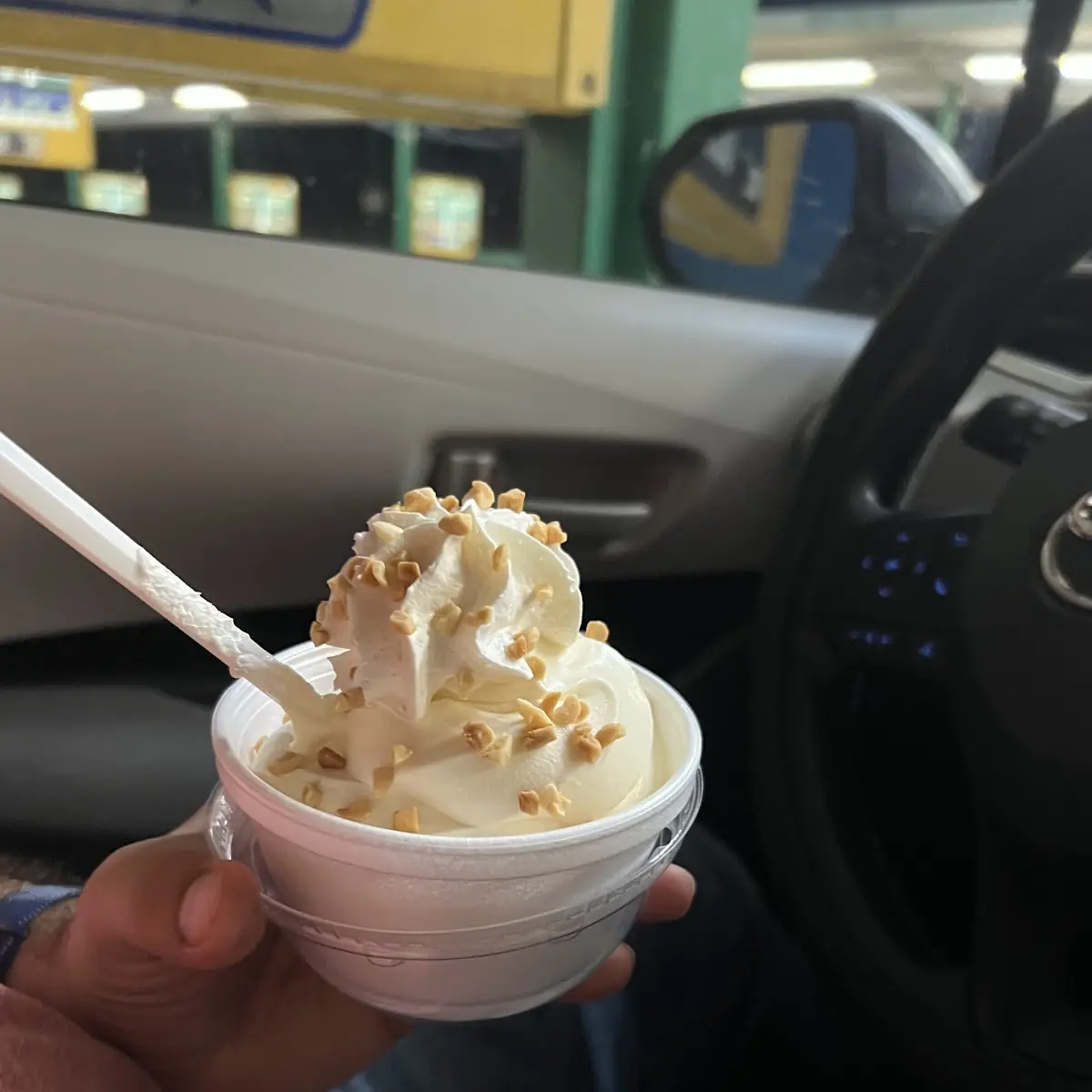 Plain Sundae with Peanuts on the Side