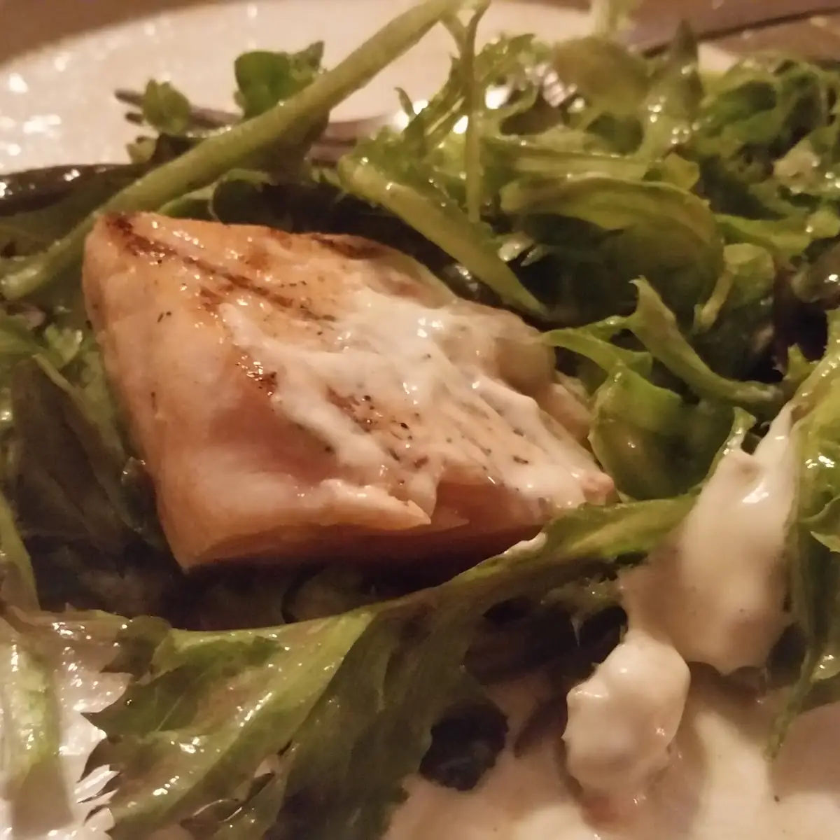 Grilled Salmon Salad