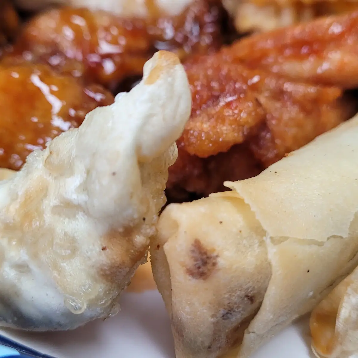 Dumpling Spring Roll and Wings