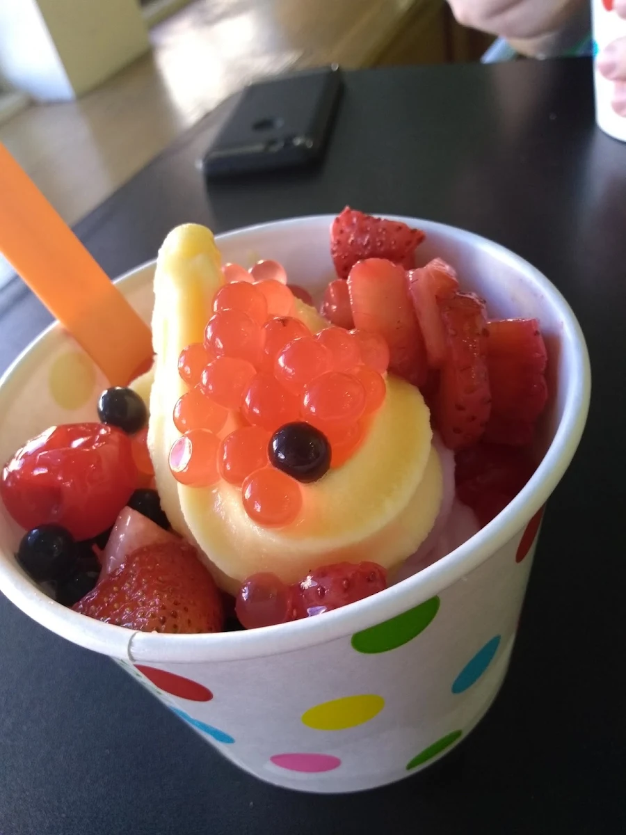 Frozen Yogurt