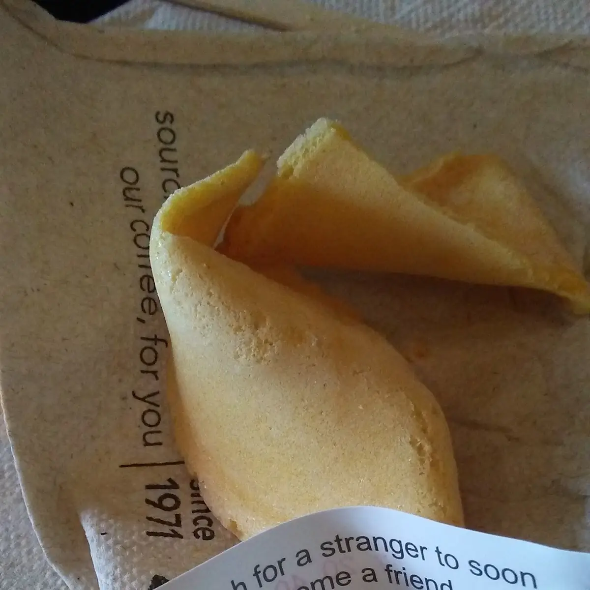 Fortune Cookie