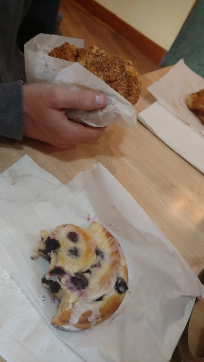 Blueberry Muffin