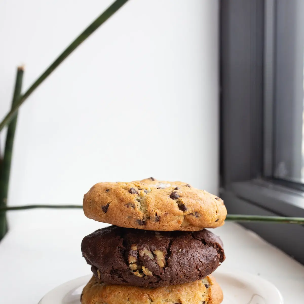 Chocolate Chip Cookie