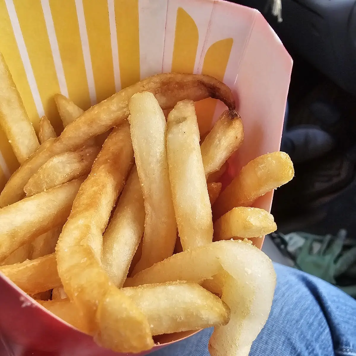 World Famous Fries
