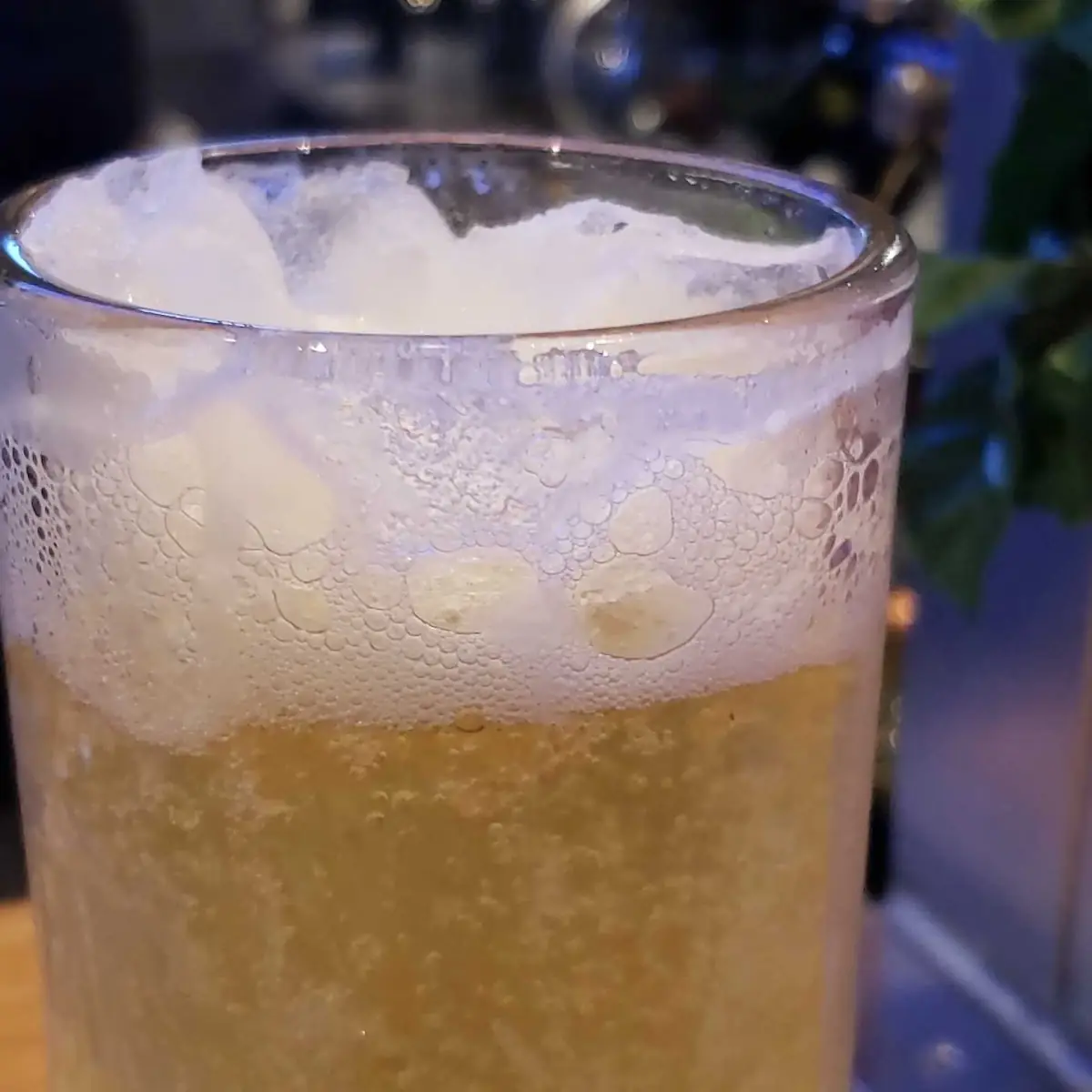 Coldest Beer in Town