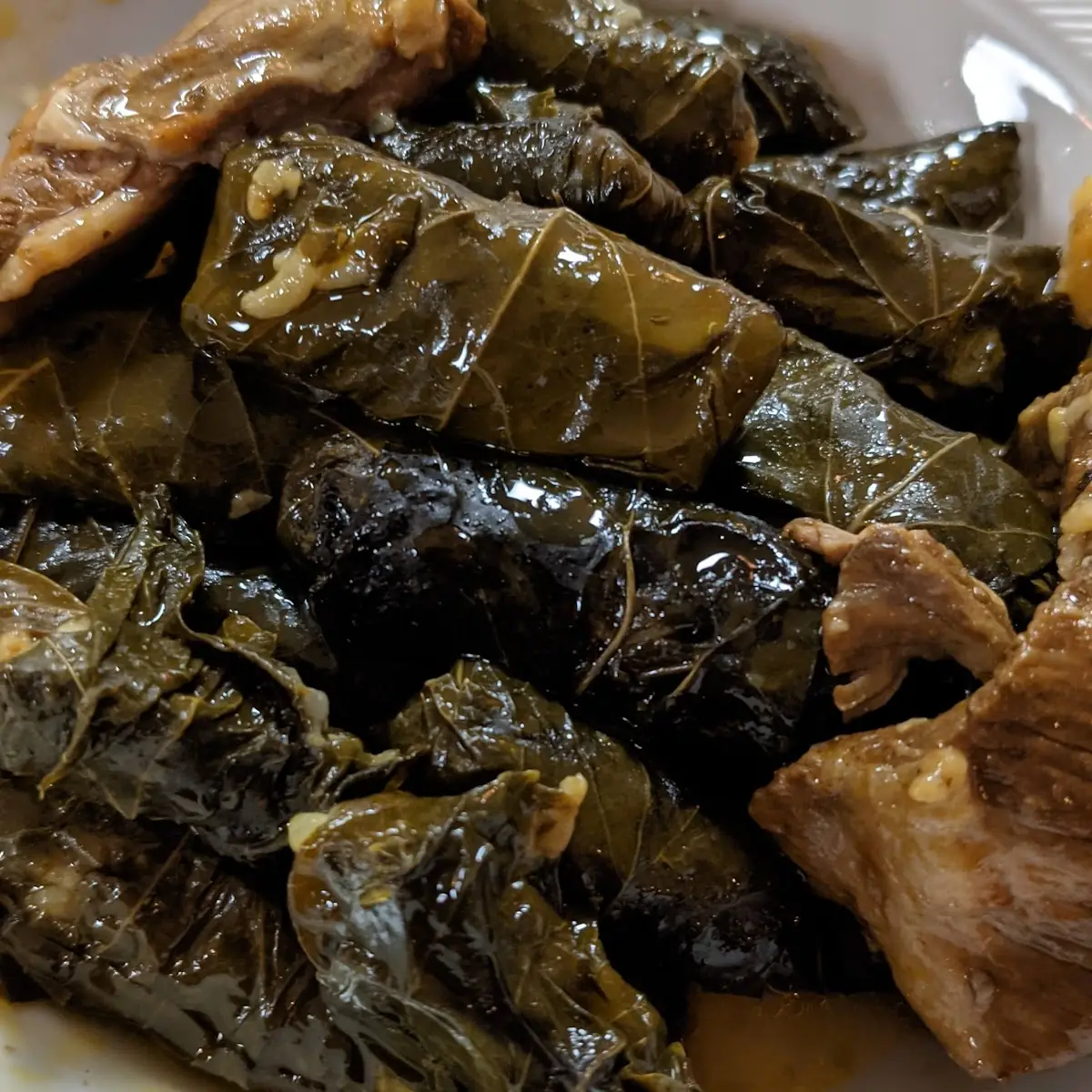 Stuffed Grape Leaves