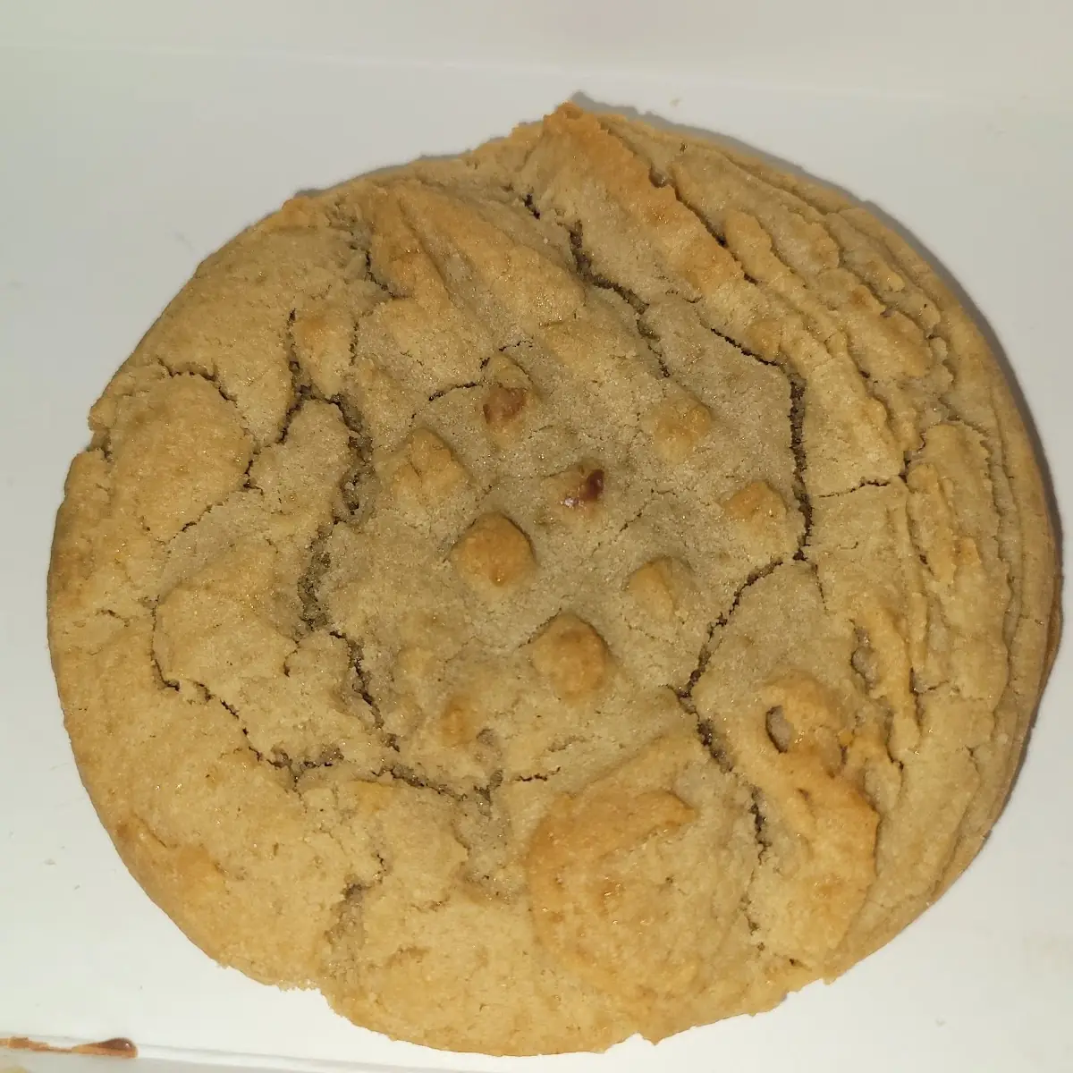 Peanut Butter Cookie
