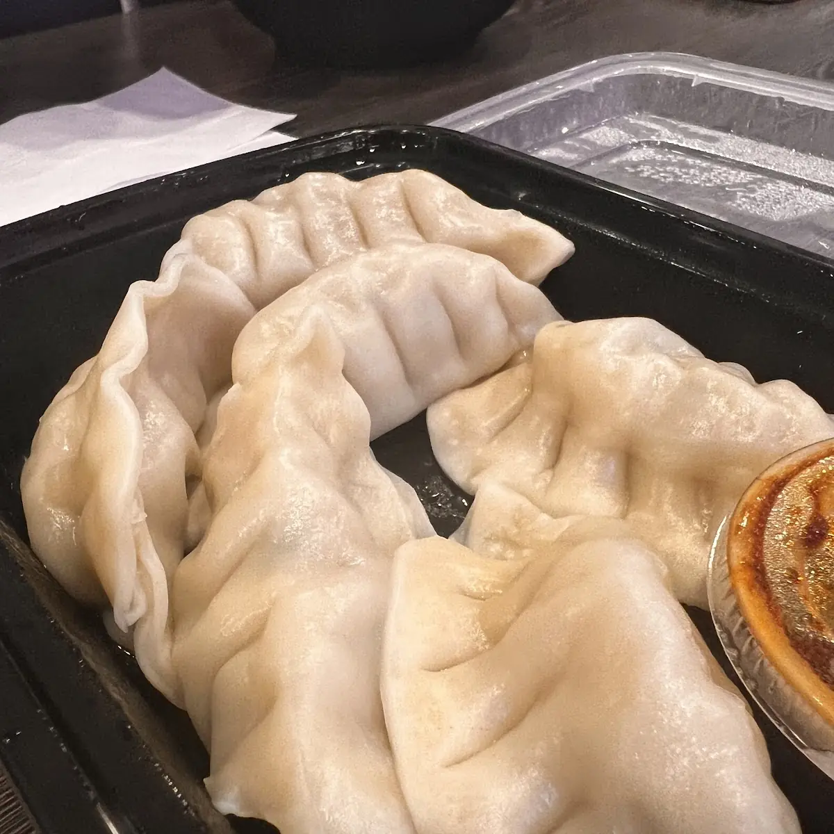 Pan Fried Pork Dumplings