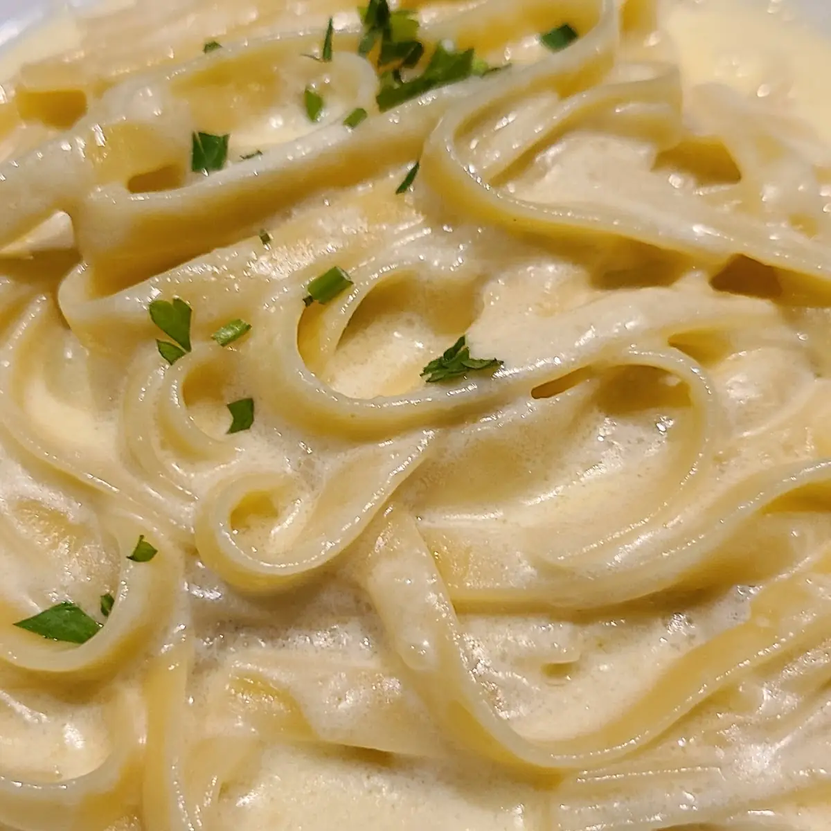 Fettuccine Alfredo