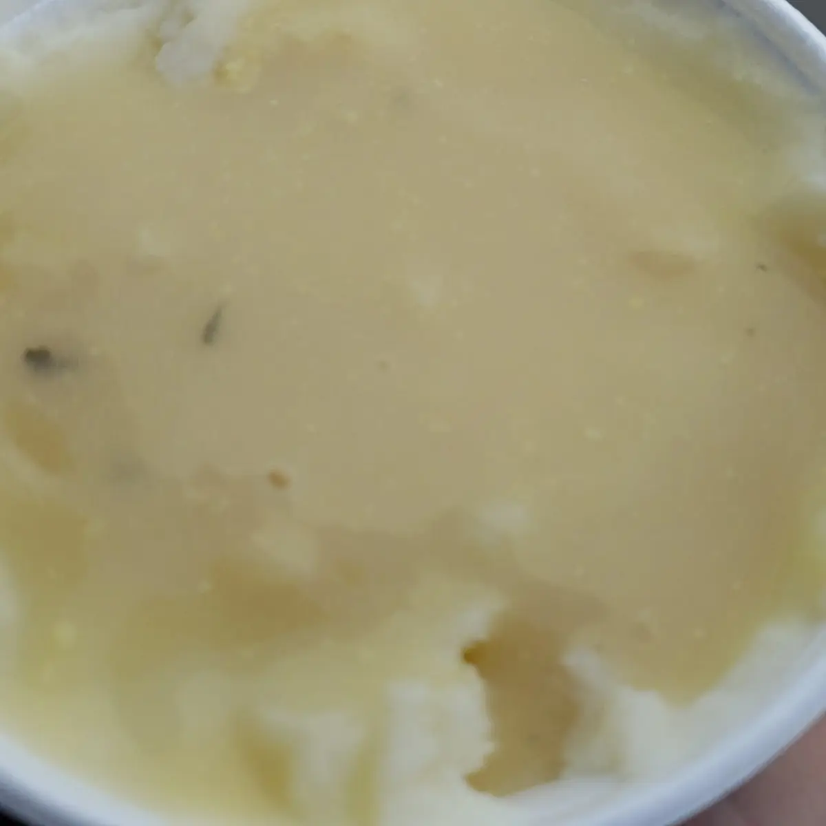 Mashed Potatoes with Chicken Gravy