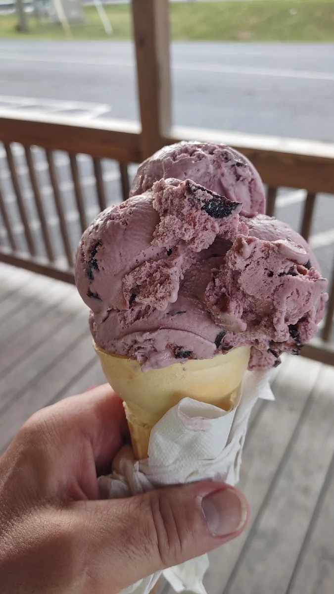 Black Cherry Cone