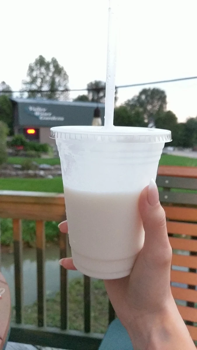Pina Colada Smoothie