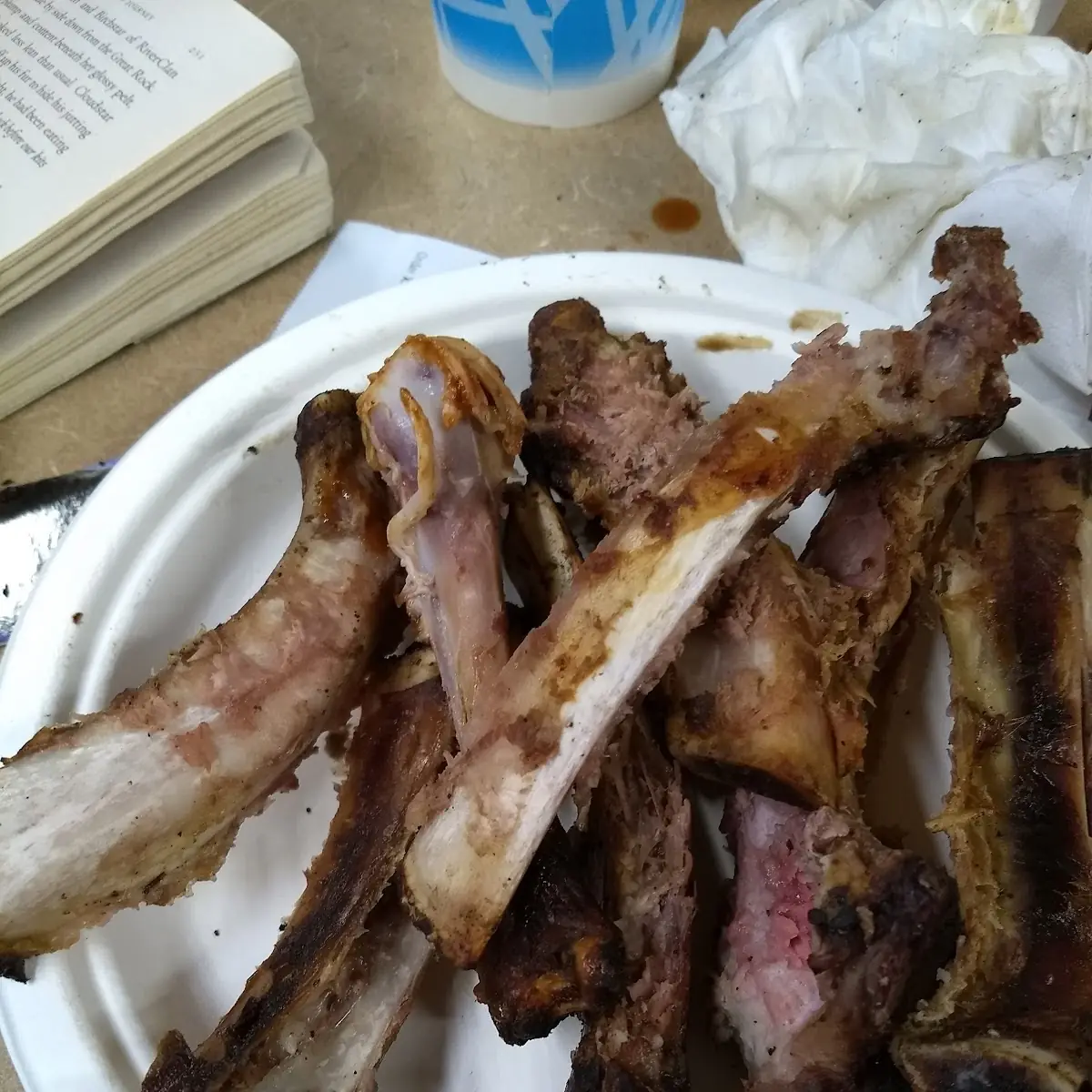 BBQ Ribs