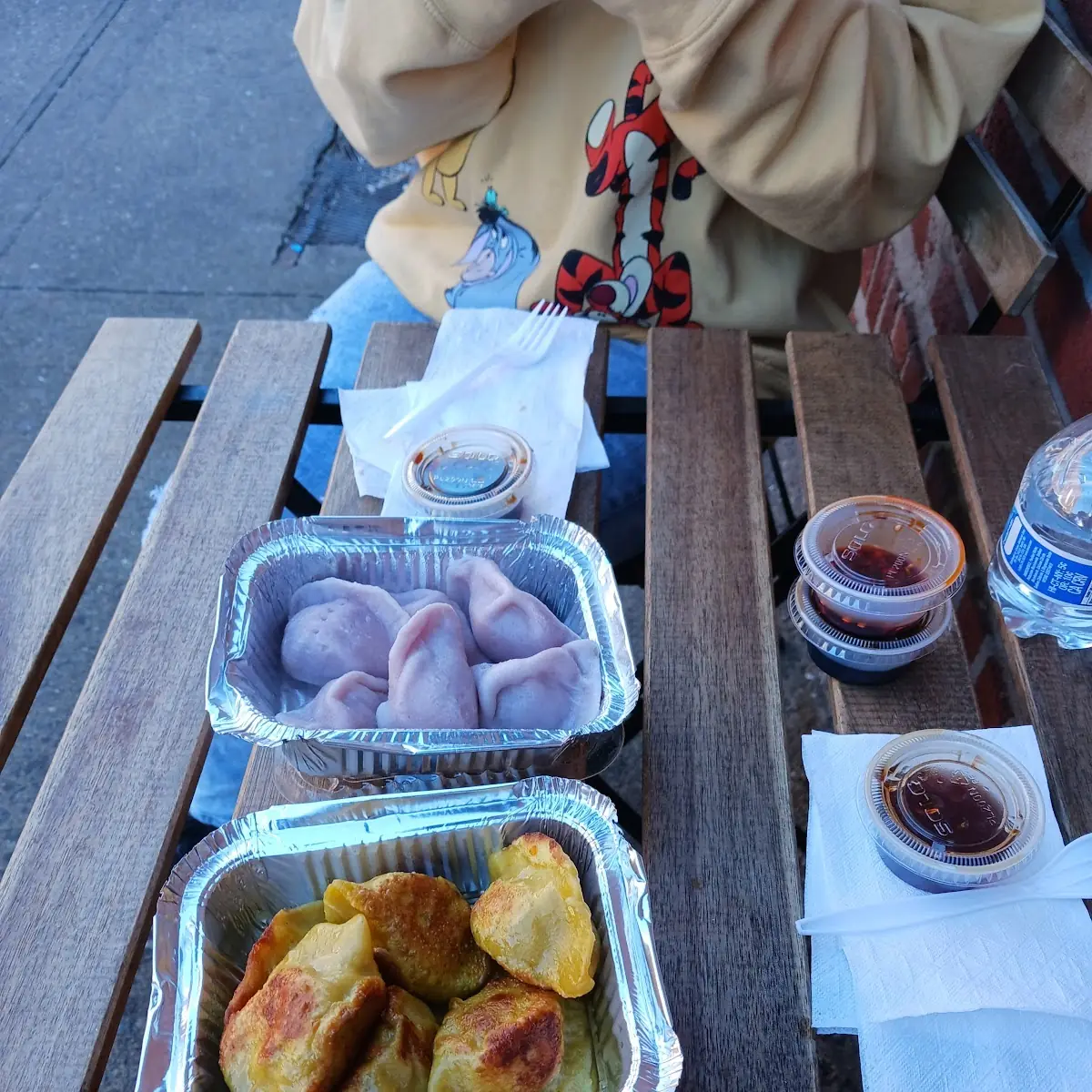 Pan Fried Chicken Dumplings