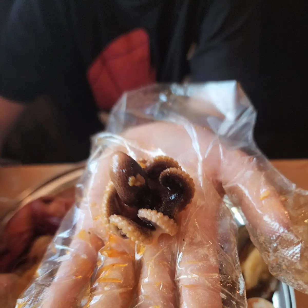 Baby Octopus