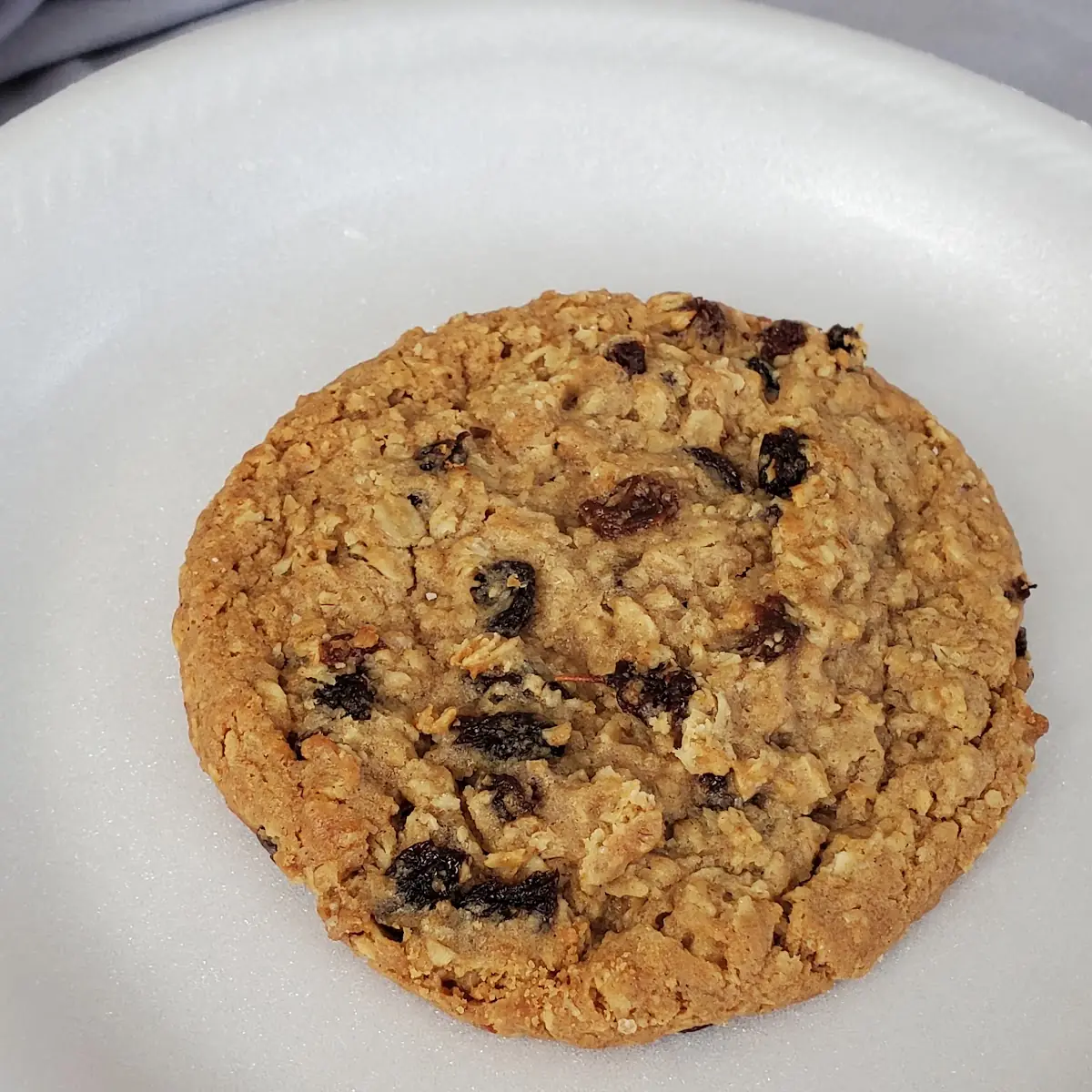 Oatmeal Raisin Cookie