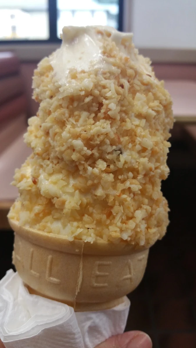 Macadamia Nut Dipped Cone