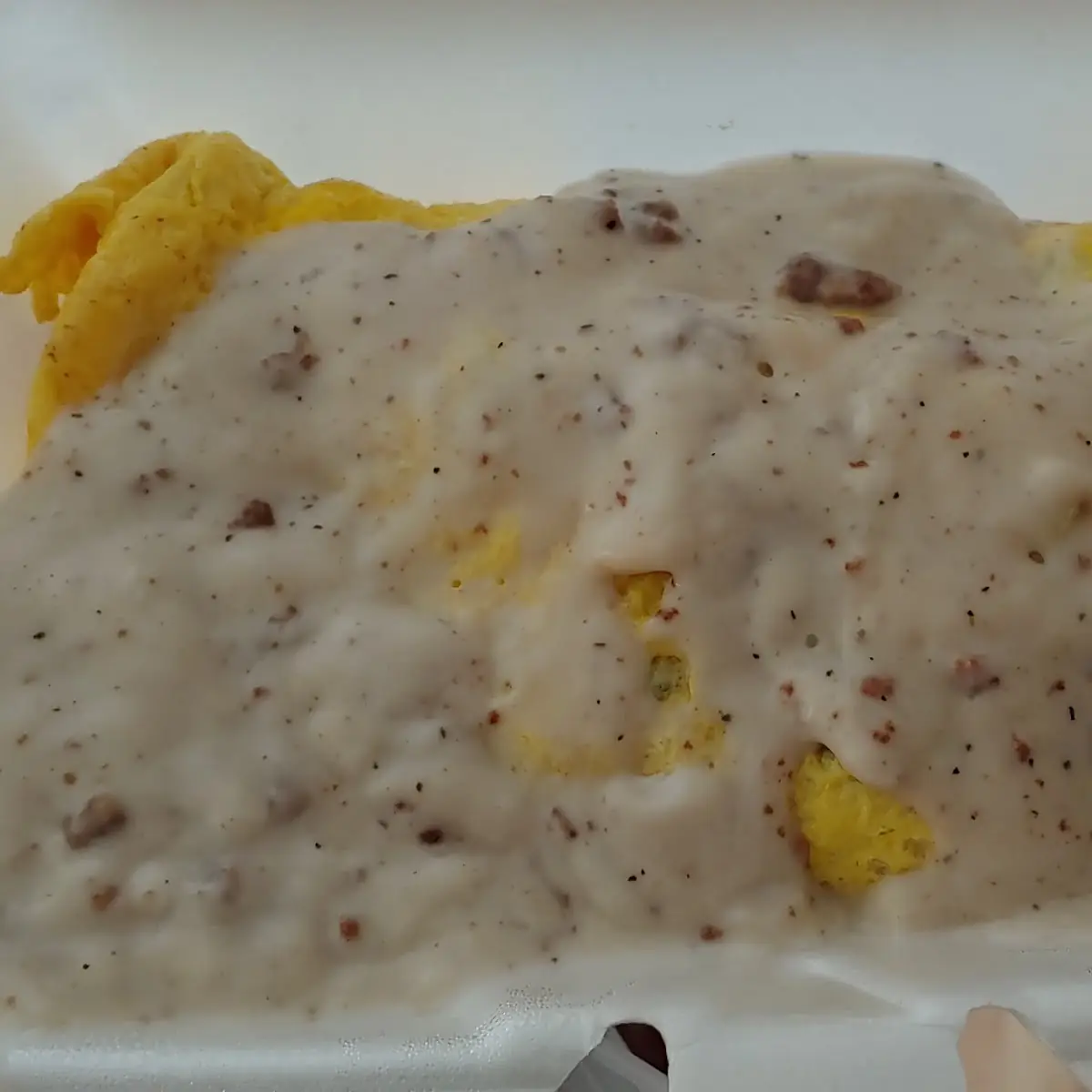 Western Omelet