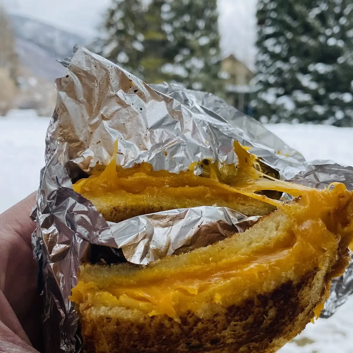 Grilled Cheese Sandwich