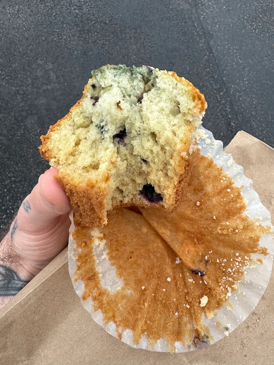 Blueberry Muffin