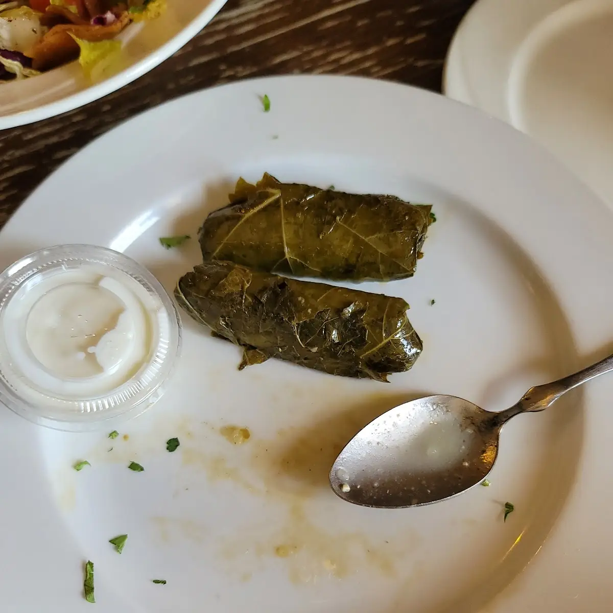 Stuffed Grape Leaves