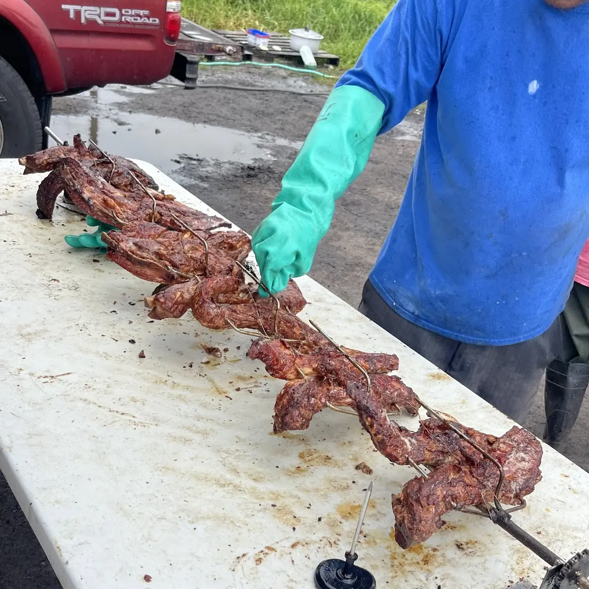 Pork Ribs