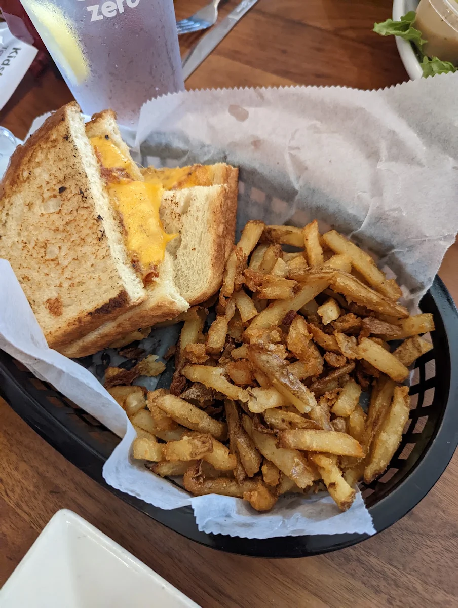 Kids Grilled Cheese Sandwich