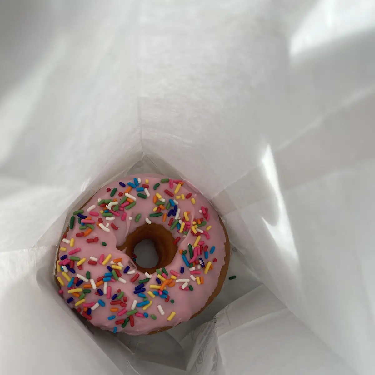 Doughnut