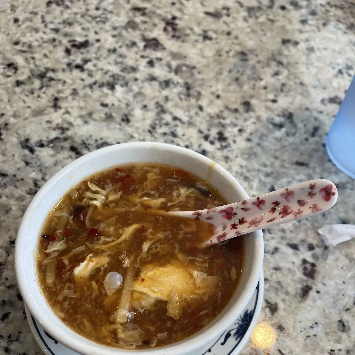 Hot and Sour Soup