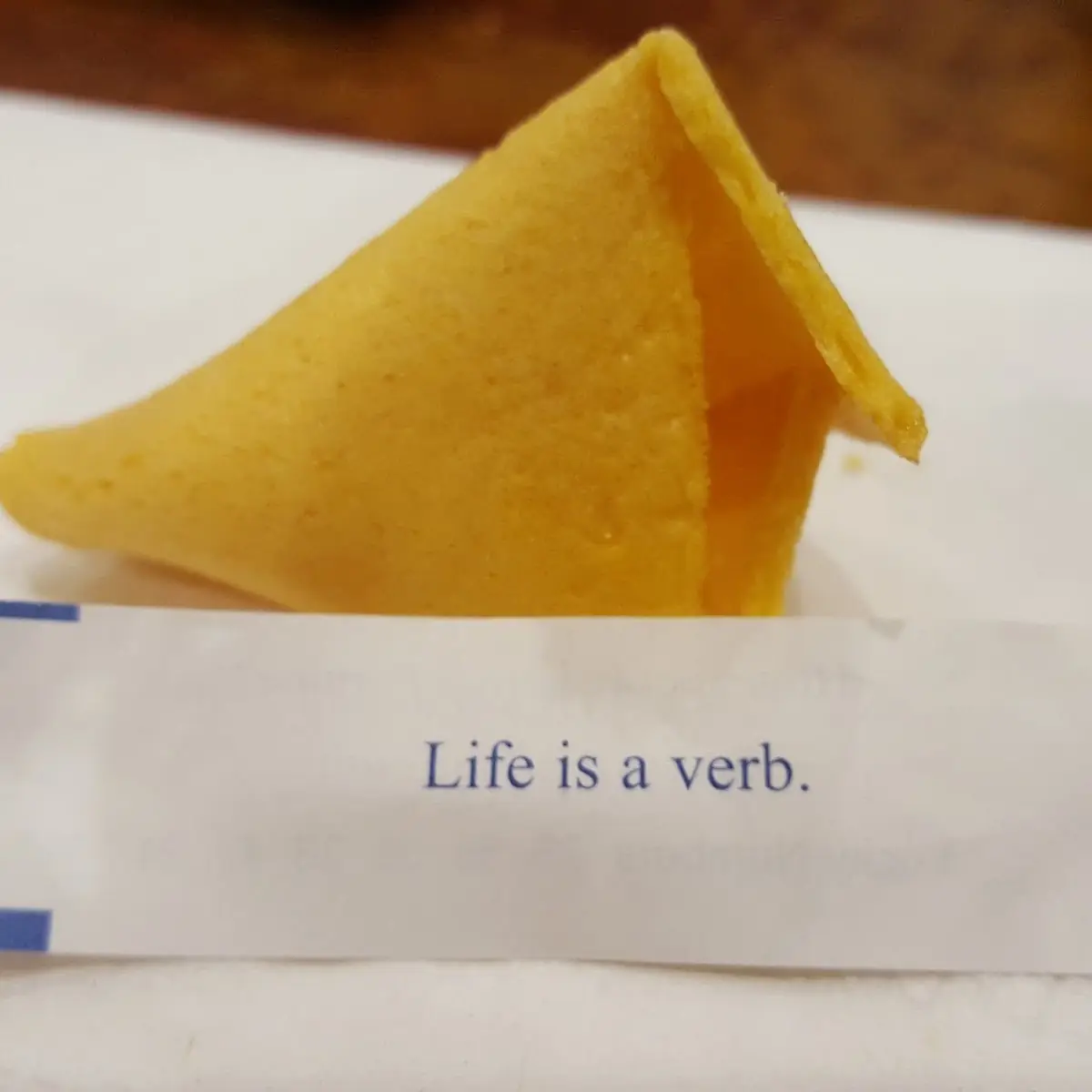 Fortune Cookie