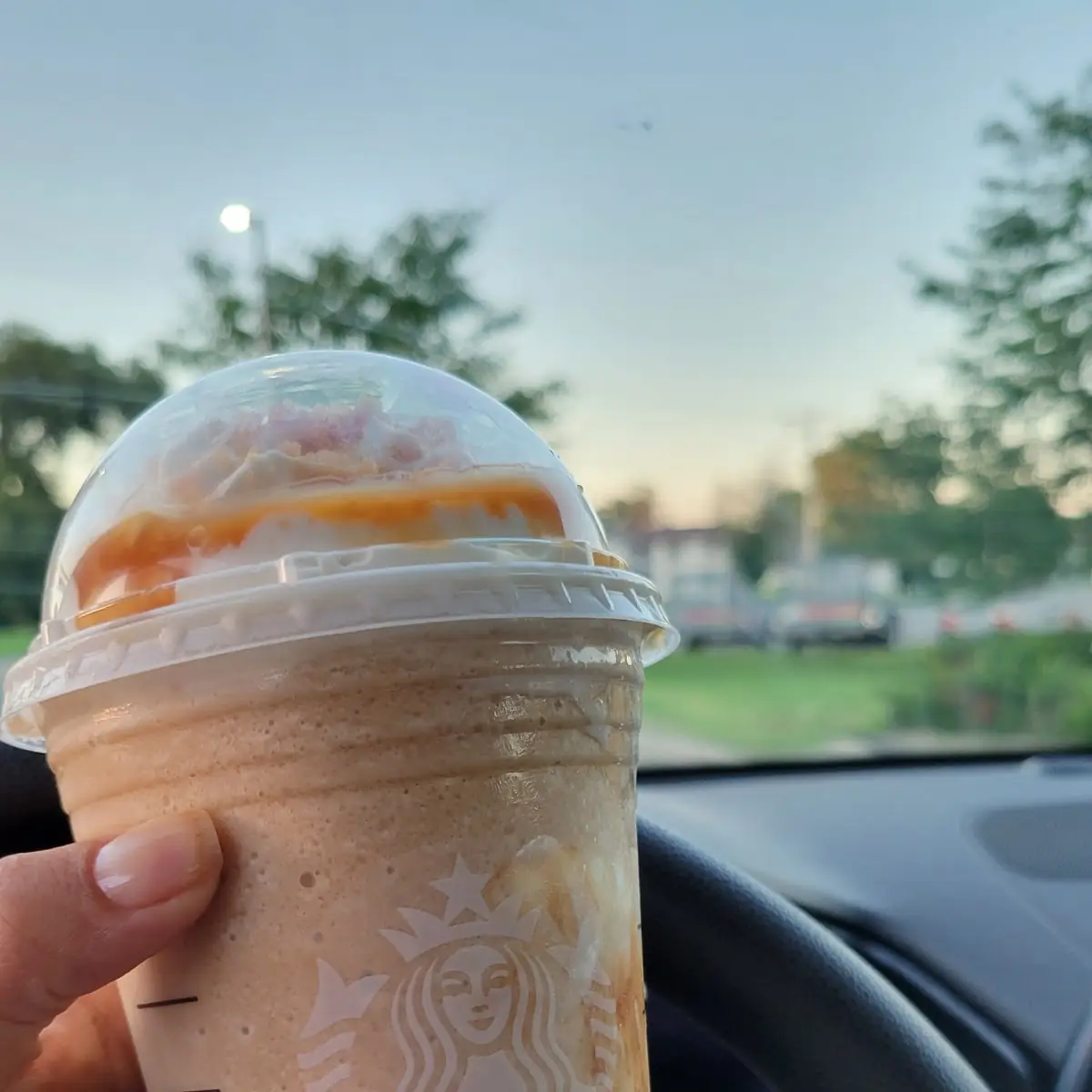 Cream Cold Brew