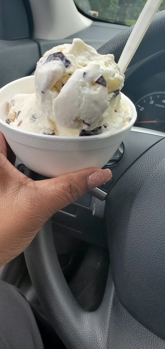 Chocolate Chip Ice Cream