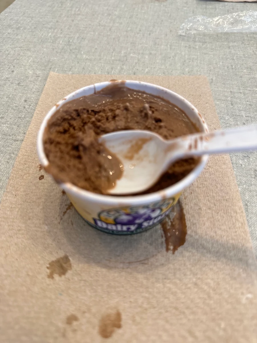 Chocolate Ice Cream