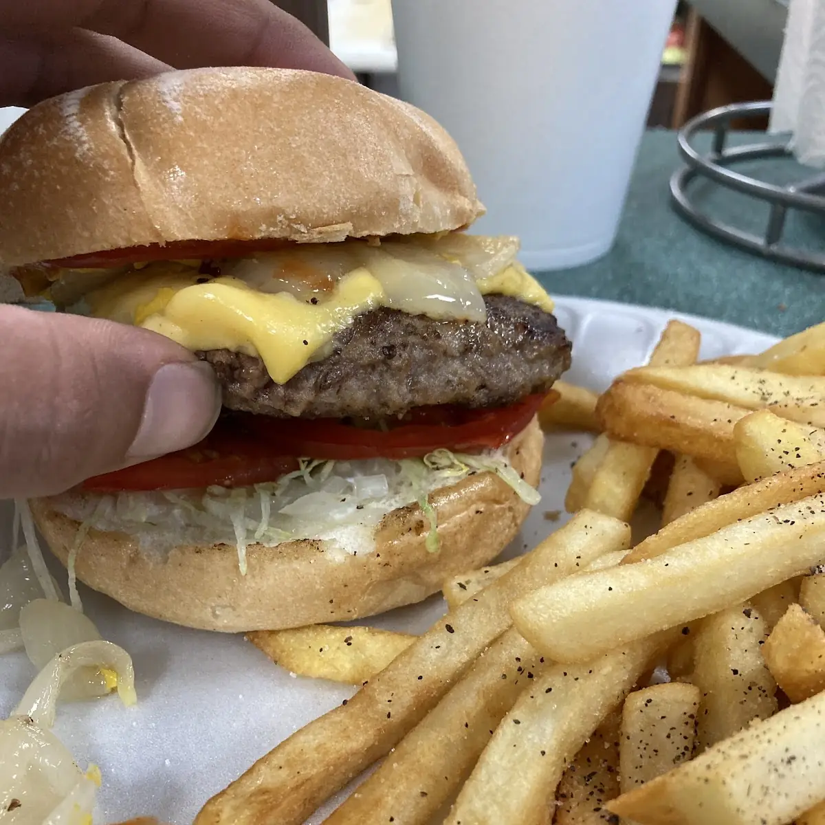 Burger with Fries