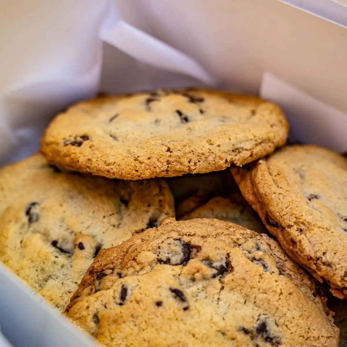 Chocolate Chip Cookie