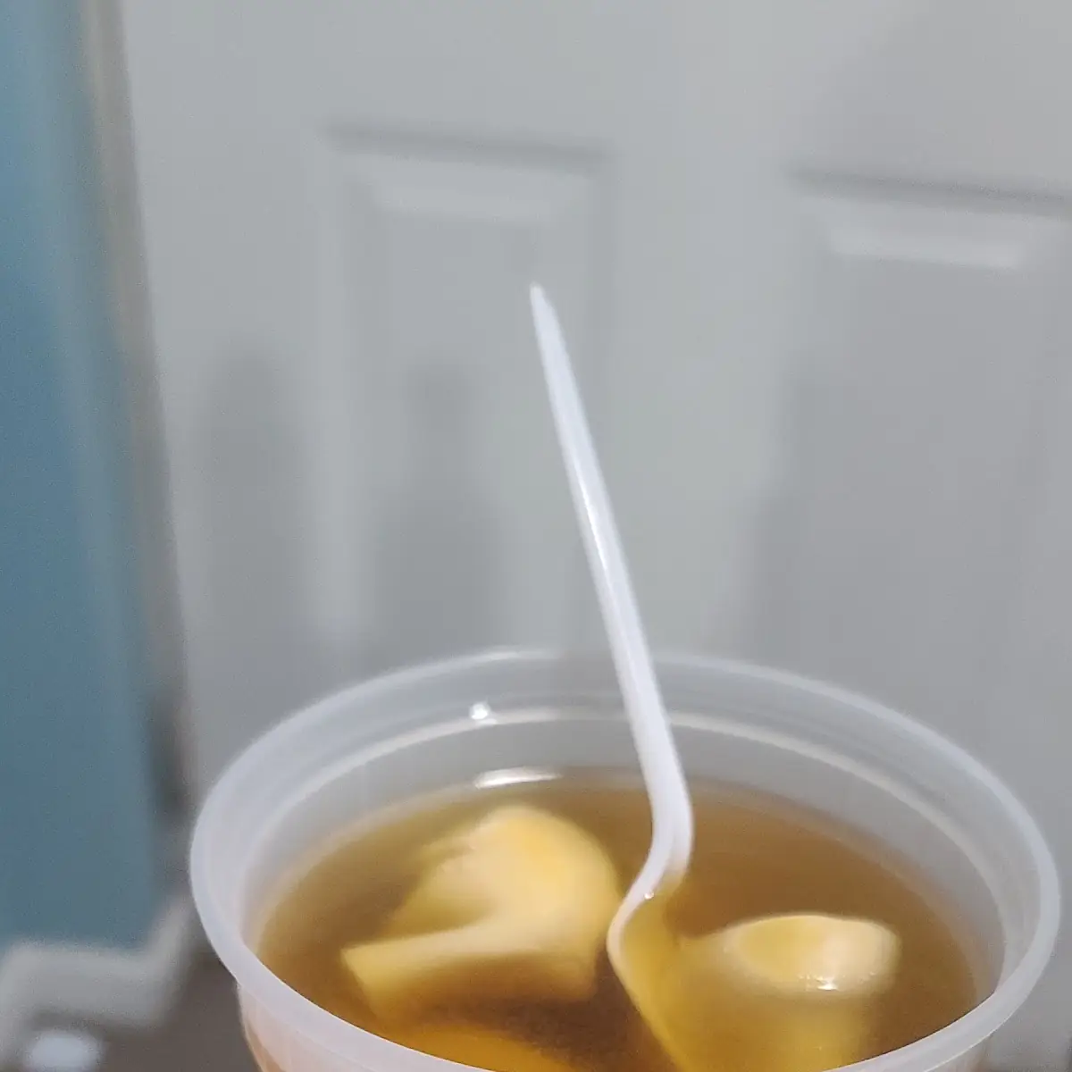 Wonton Soup
