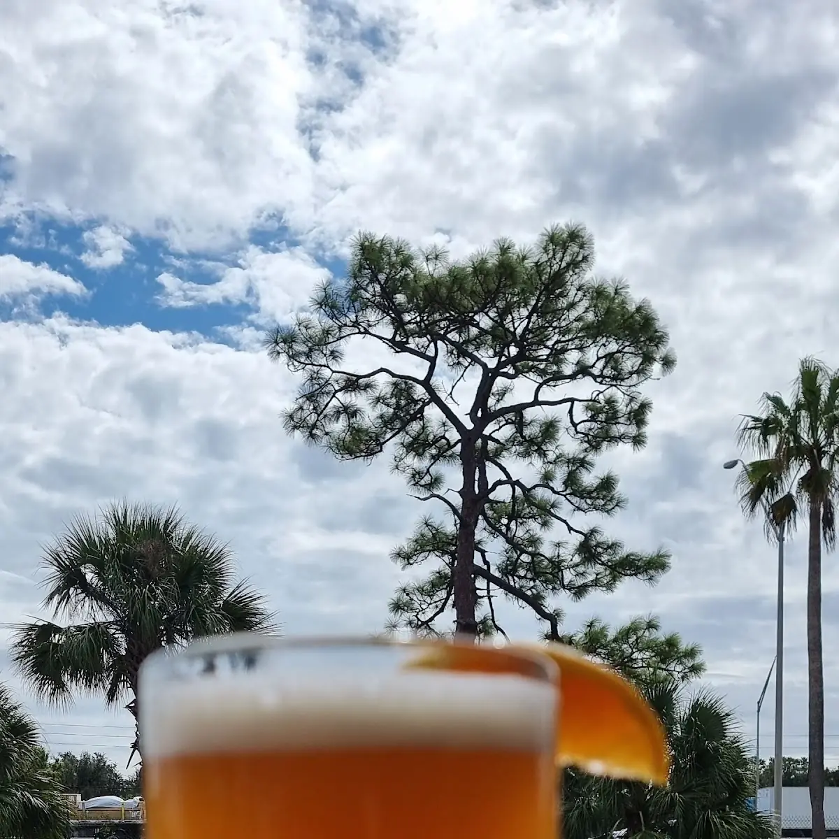 Blue Moon Belgian White