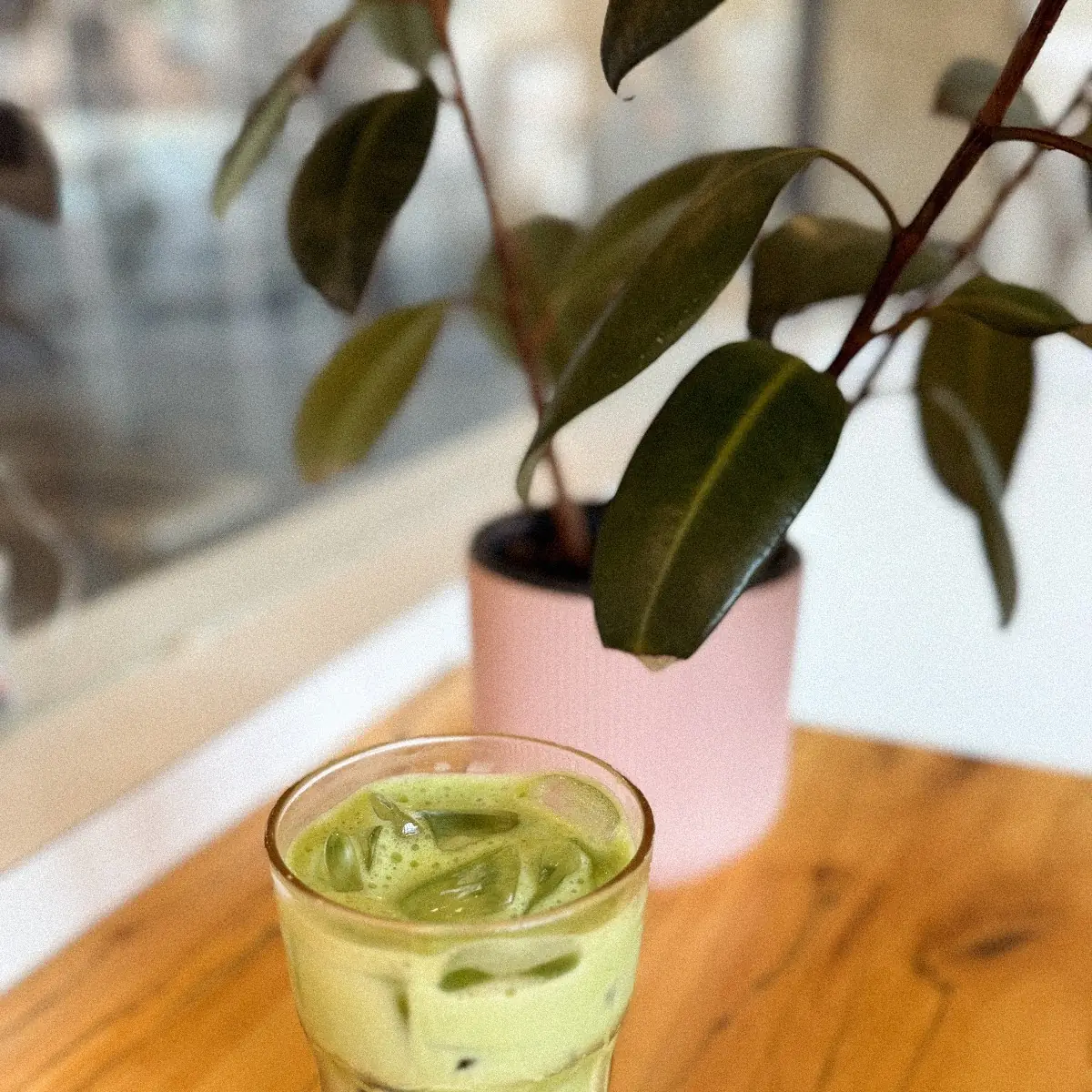 Iced Matcha Latte