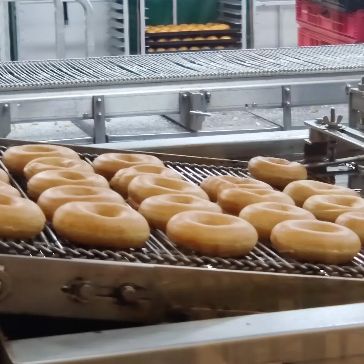 Count Original Glazed Doughnuts
