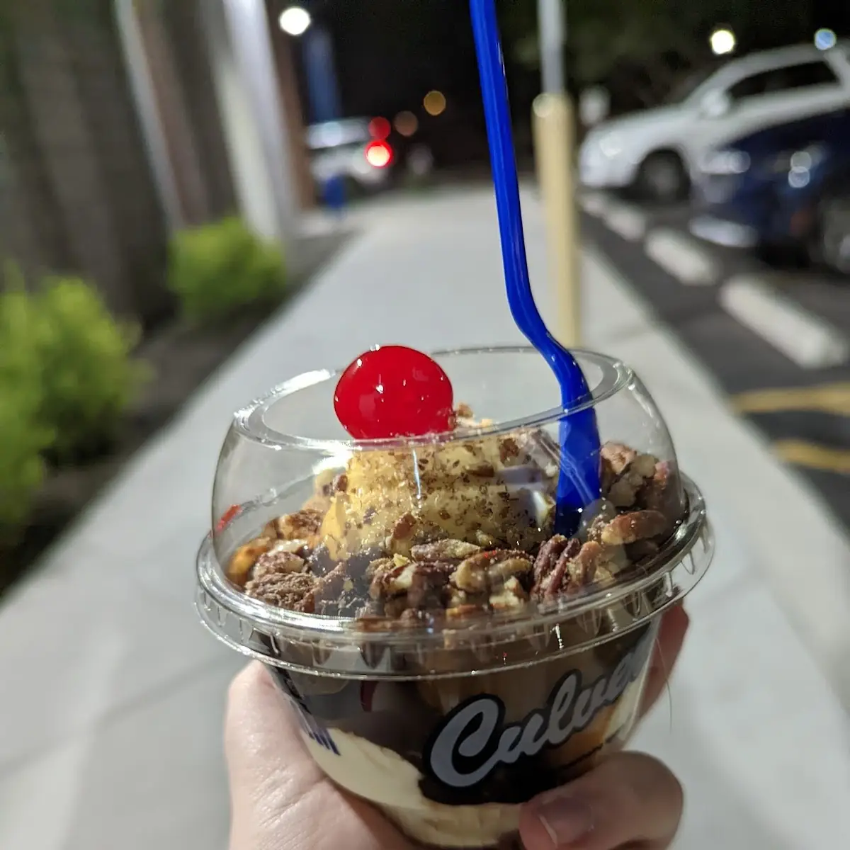 Turtle Sundae