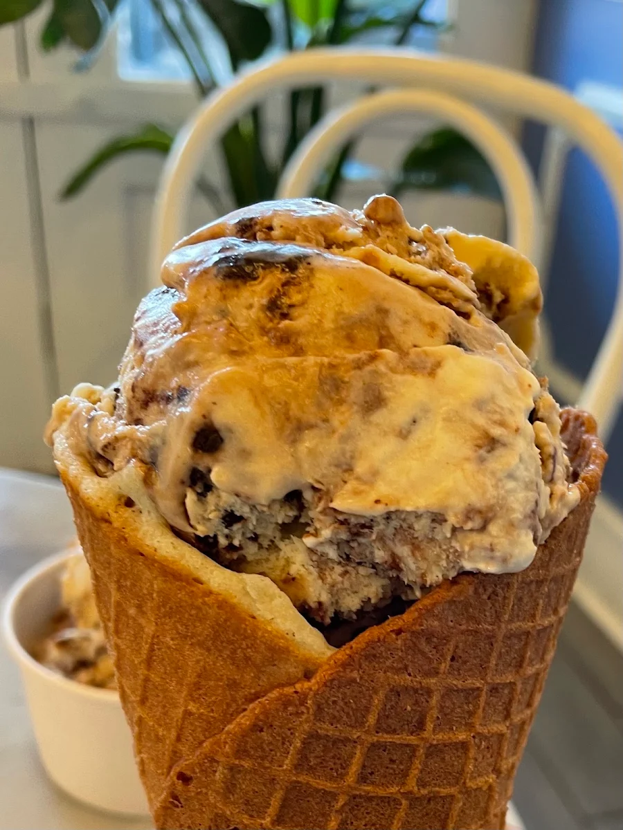 Mint Chocolate Chip Waffle Cone