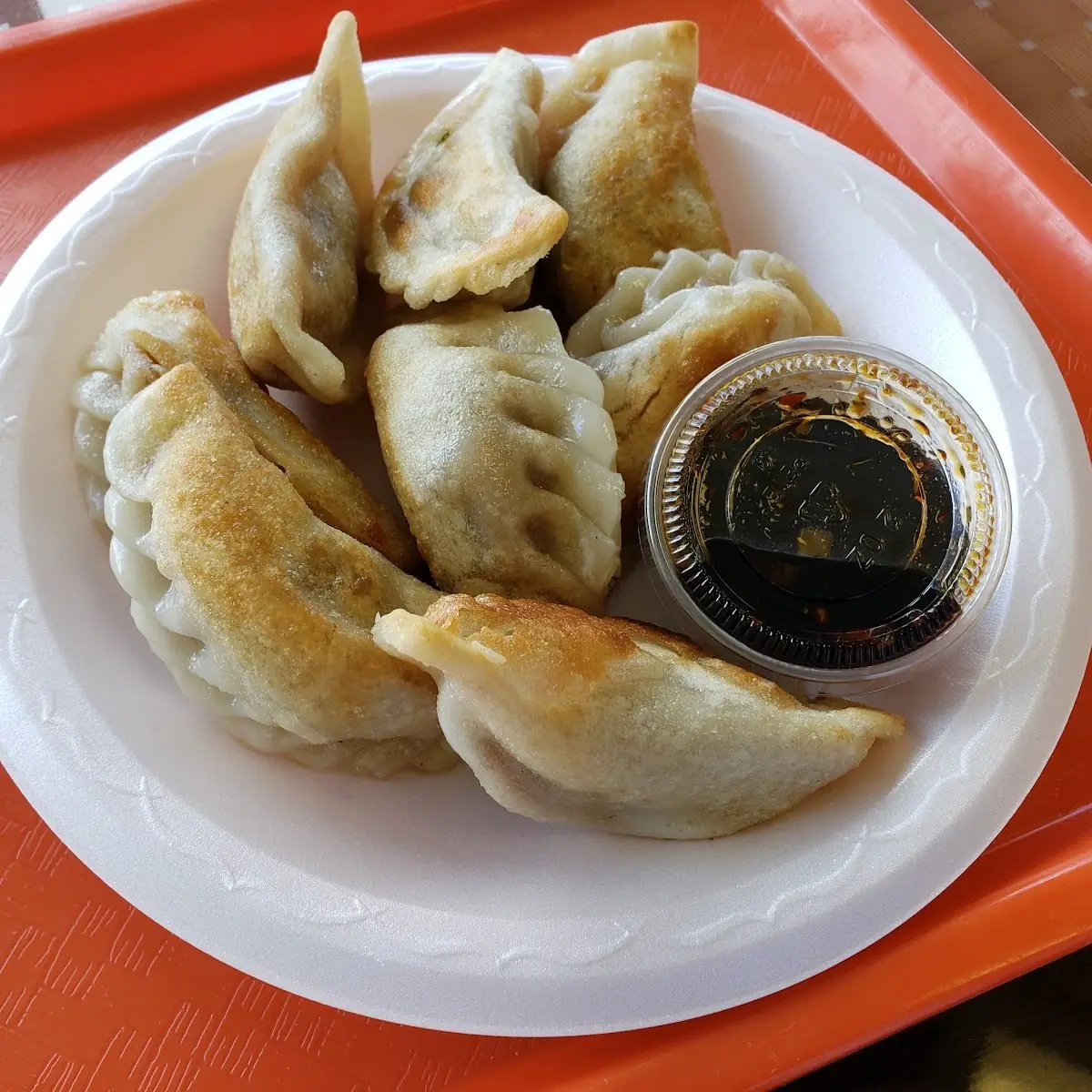 Fried Peking Ravioli