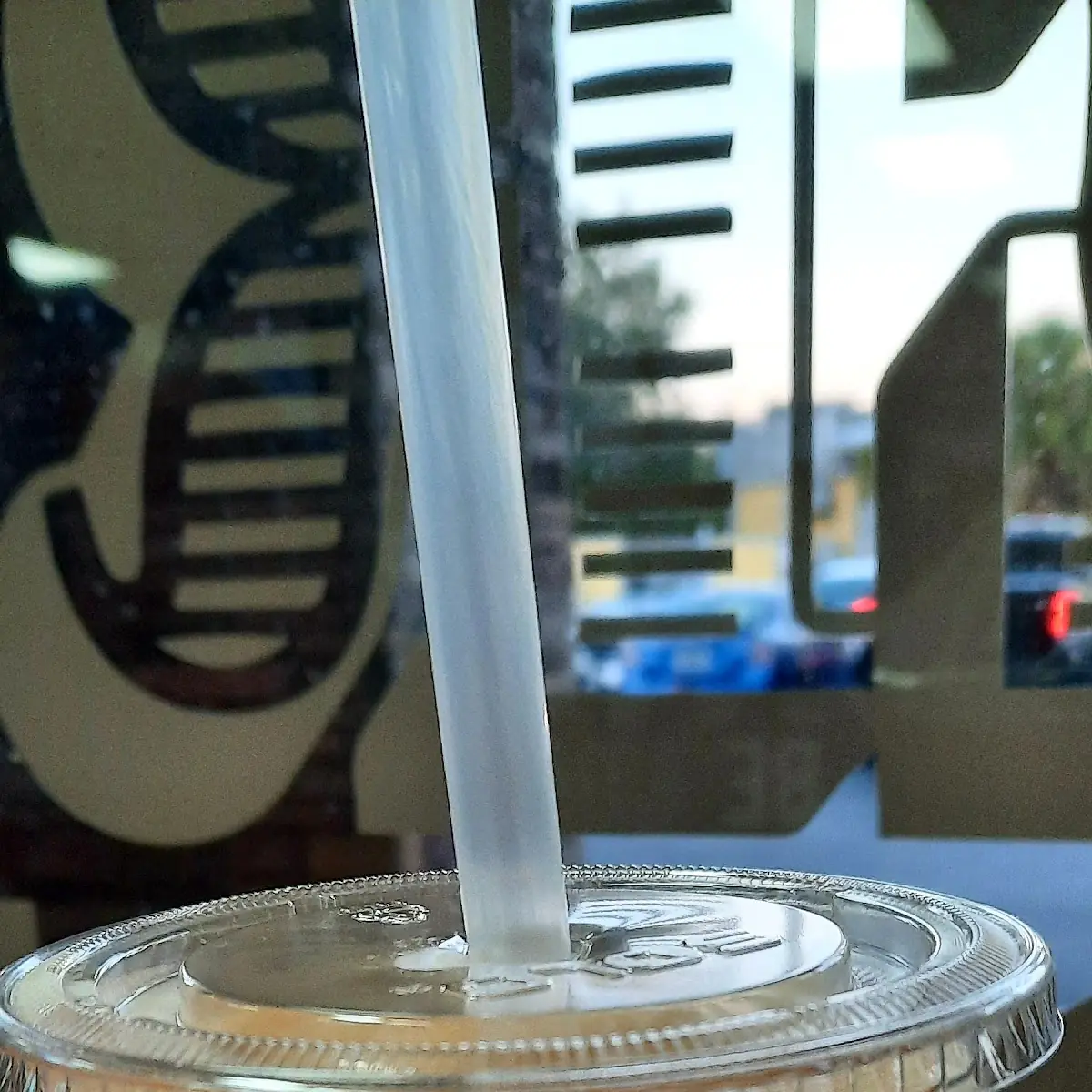 Fruit Smoothie