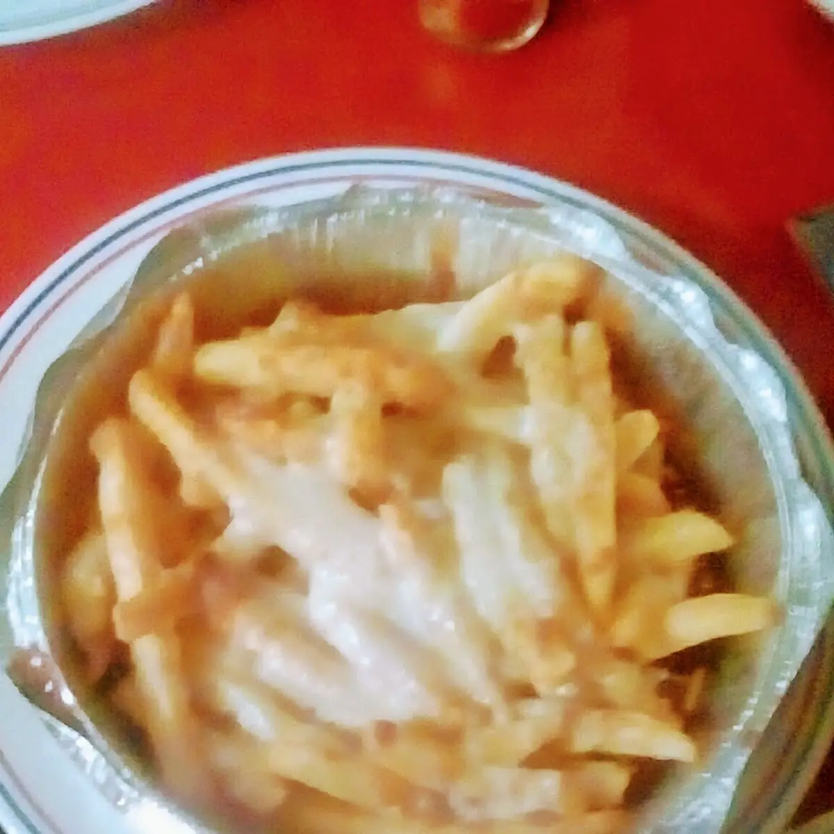 French Fries with Mozzarella Cheese